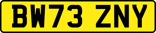 BW73ZNY