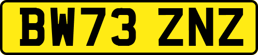 BW73ZNZ