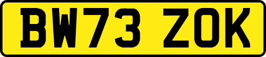 BW73ZOK