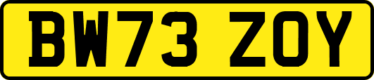 BW73ZOY