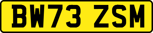 BW73ZSM