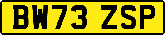 BW73ZSP