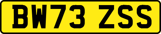 BW73ZSS