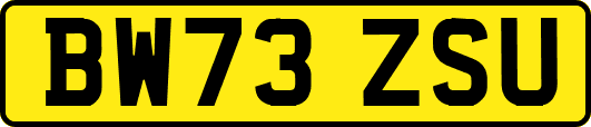 BW73ZSU