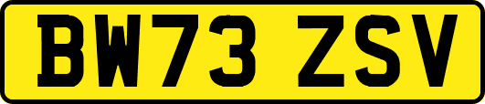 BW73ZSV