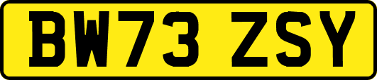 BW73ZSY