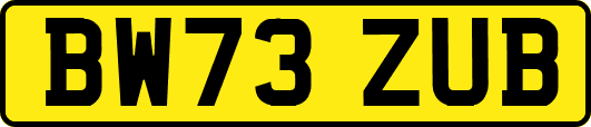 BW73ZUB