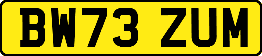 BW73ZUM