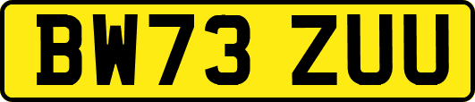 BW73ZUU