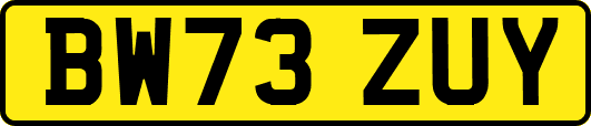 BW73ZUY