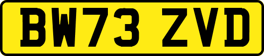 BW73ZVD