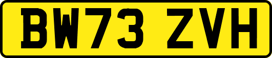 BW73ZVH
