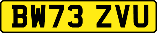 BW73ZVU