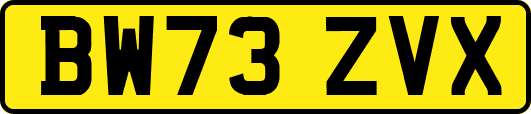 BW73ZVX