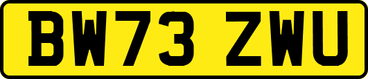 BW73ZWU