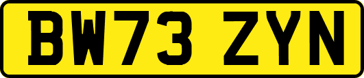 BW73ZYN