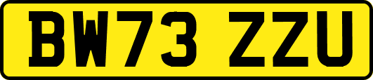 BW73ZZU