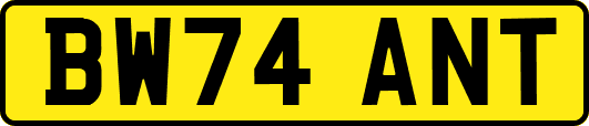 BW74ANT