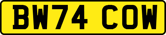 BW74COW