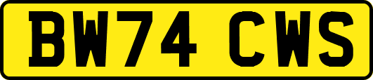 BW74CWS