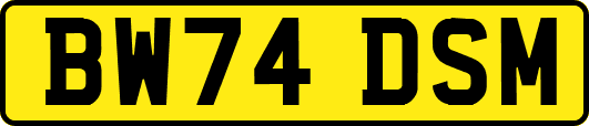 BW74DSM