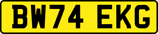 BW74EKG