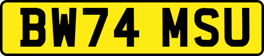 BW74MSU