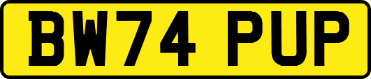 BW74PUP