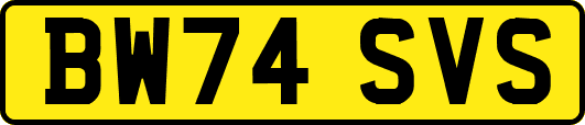 BW74SVS