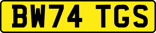 BW74TGS
