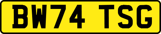BW74TSG