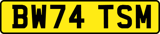 BW74TSM
