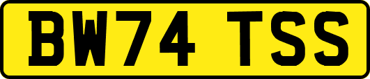 BW74TSS