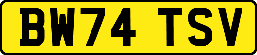 BW74TSV
