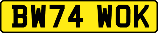 BW74WOK