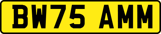 BW75AMM