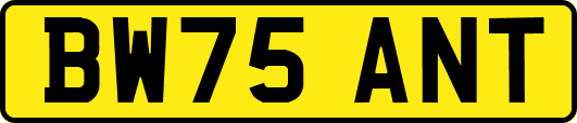 BW75ANT