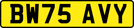 BW75AVY