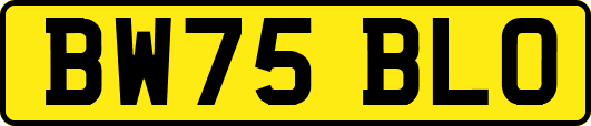 BW75BLO