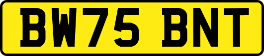 BW75BNT