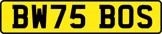 BW75BOS