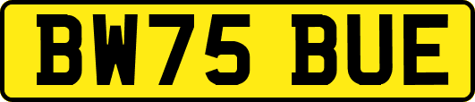 BW75BUE