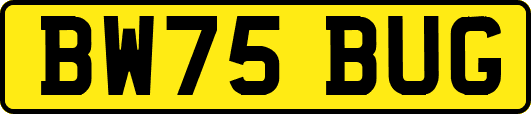 BW75BUG