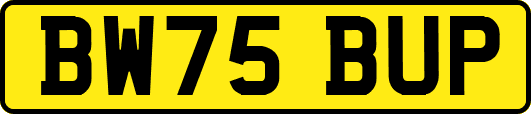 BW75BUP