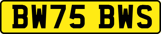 BW75BWS