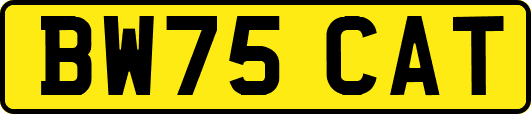 BW75CAT