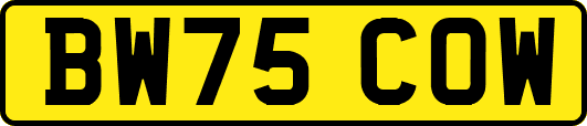 BW75COW
