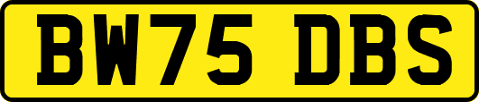 BW75DBS