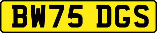 BW75DGS