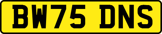 BW75DNS